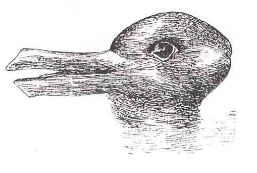 Duck rabbit visual illusion